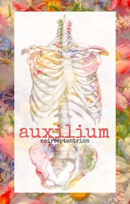 auxilium | larry one shot