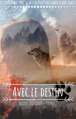 Avec le Destin - Notre Destinée Tome 2