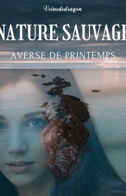 Averse de printemps 1 -  Nature Sauvage