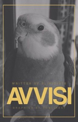 Avvisi