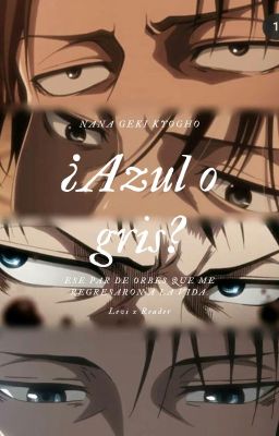 ¿Azul o gris? [Levi × reader]