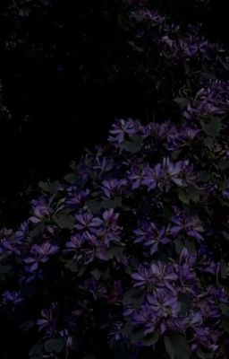 「Azuretime」|| Mộng ( read description )