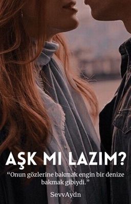 Aşk Mı Lazım?