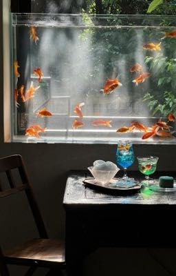 b&c ⋆✴︎˚｡⋆ quả cam mọng