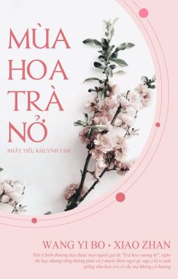 [Bác Chiến] Mùa hoa trà nở