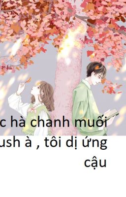 Bạc hà chanh muối - Crush à , tôi dị ứng cậu