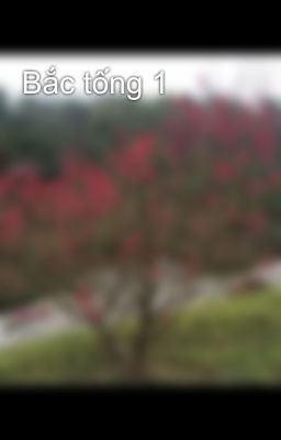 Bắc tống 1