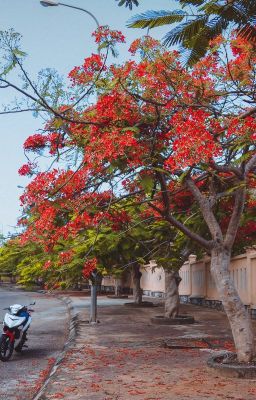 Bách Luyện Thành Tiên 2719 - coming up