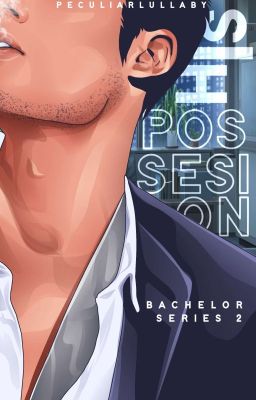 Bachelor Series #2:His Possession(Completed)