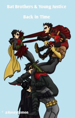 Back In Time ♡ [Young Justice & BatBrothers] 