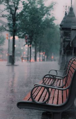 ( BaeHwi) Chuyện người ta