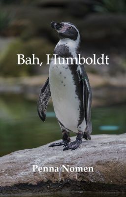 Bah, Humboldt