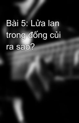 Bài 5: Lửa lan trong đống củi ra sao?