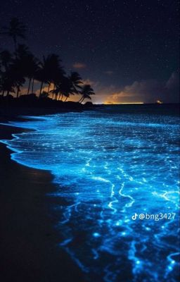 Bãi Biển Về Đêm