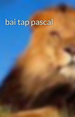 bai tap pascal