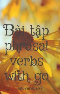 Bài tập phrasal verbs with go