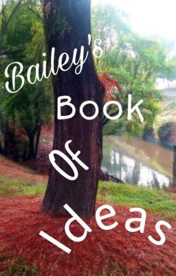 Bailey's Book Of Ideas!