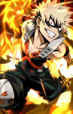 Bakugou x reader (one shot)