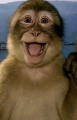 Bẩm cậu, tôi muốn cưới cậu ạ