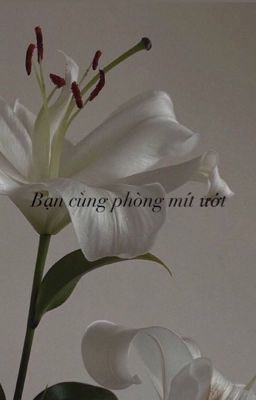 Bạn Cùng Phòng Mít Ướt