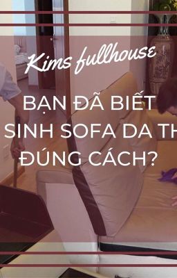 Bạn đã biết Vệ Sinh Sofa Da Thật đúng cách?