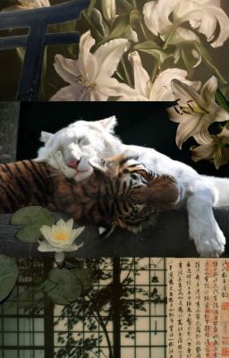 Báng bổ - DURU
