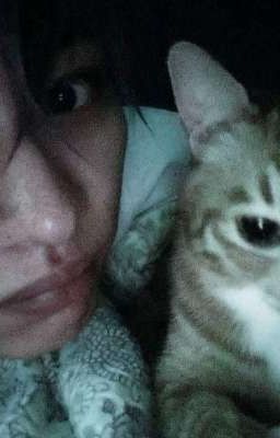 [ Banginho ] Không khóc