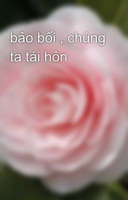 bảo bối , chúng ta tái hôn 