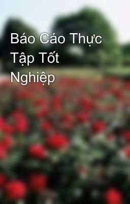 Báo Cáo Thực Tập Tốt Nghiệp