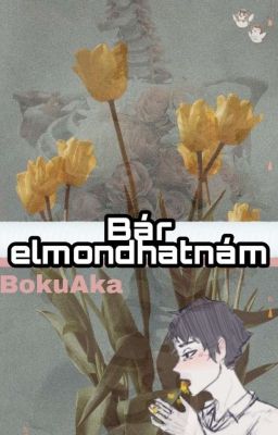 Bár elmondhatnám (Bokuaka ff)