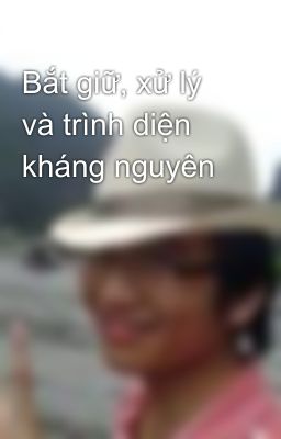 Bắt giữ, xử lý và trình diện kháng nguyên