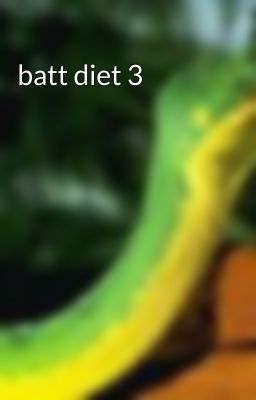 batt diet 3