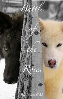 Battle of the Roses [Book 2]