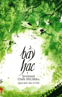 BẦY HẠC - Scotland Chiết Nhĩ Miêu