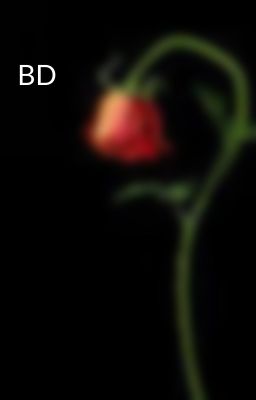 BD