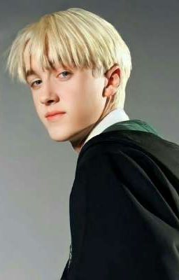 Bé Chồn Trắng Của Draco Malfoy