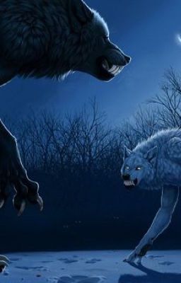 Be were the wolf