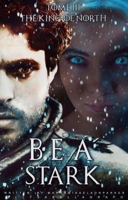 Bea Stark : The King of North [TERMINER]