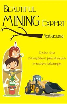 Beautiful Mining Expert