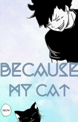 because my cat // kurodai