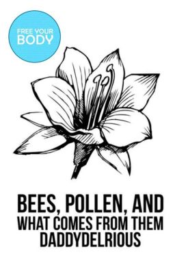 Bees, Pollen, and What Comes From Them