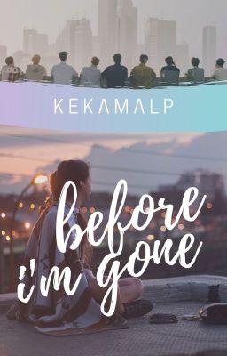 Before I'm Gone | Stray Kids FF