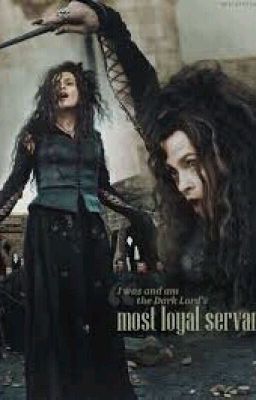 Bellatrix Lestrange (Wie die letzte Schlacht eigentlich ablief)