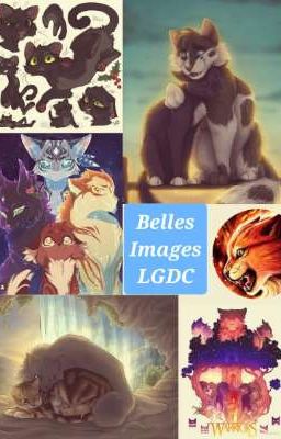 Belles images LGDC 