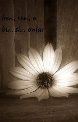 ben, sen, o, biz, siz, onlar