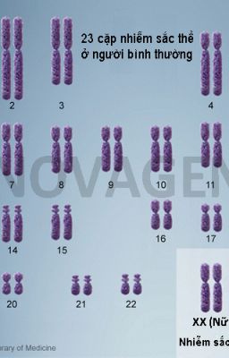 BỆNH NHIỄM SẮC THỂ