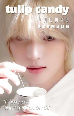 beomjun; tulips - candy 