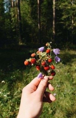 Beret And Berry | TaeGi