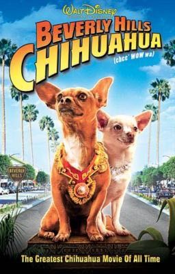 Beverly Hills Chihuahua RP