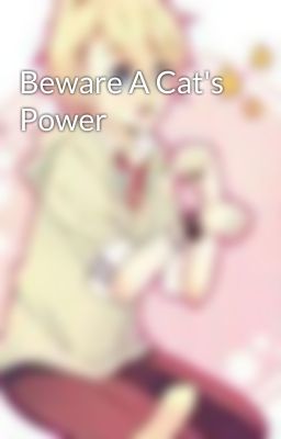 Beware A Cat's Power